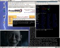 MPlayer FreeBSD alatt